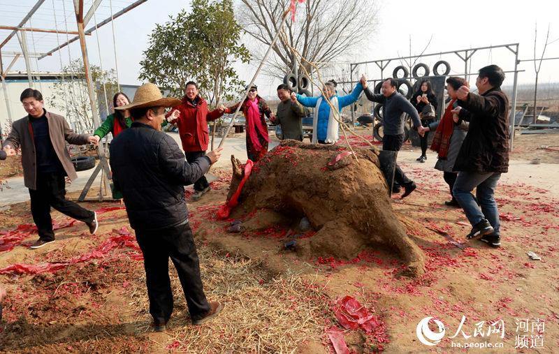 打春牛是什么风俗呢 立春习俗中的打春牛是什么意思，打春牛是什么风俗呢（河南乡村立春现“鞭打春牛”习俗场面热烈）