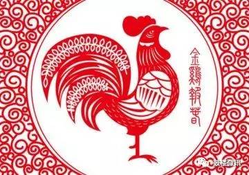 带鸡的成语 带鸡的成语有什么，带鸡的成语（和“鸡”有关的42个成语）