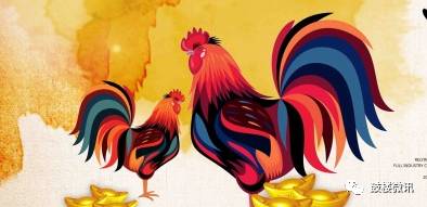 带鸡的成语 带鸡的成语有什么，带鸡的成语（和“鸡”有关的42个成语）