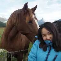 精算师考试科目，精算师考试科目有哪些（关于精算专业你知道多少）