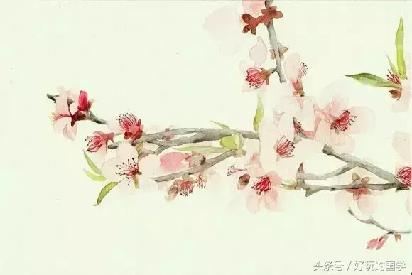 古诗词中常见意象及其象征意义，古典诗歌常见意象及其象征意义（诗词中常见的20种意象，绝美）