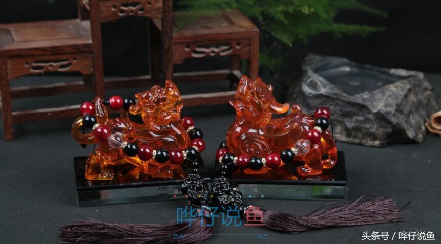 养什么鱼招财转运，七种常见招财吉祥物，你有几样