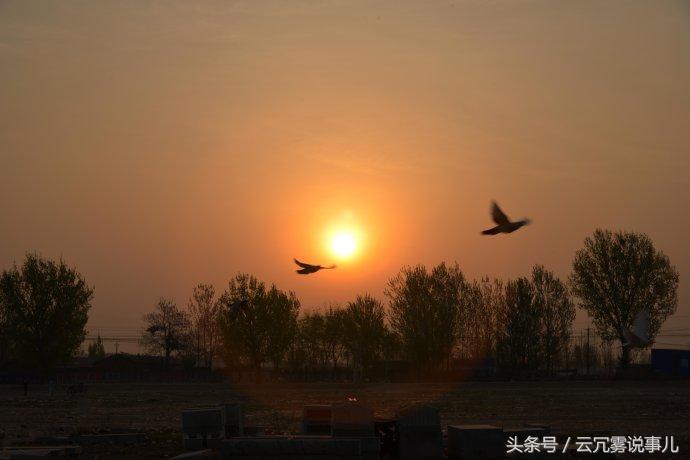 新年祝福四字成语，新年祝福语四字简短成语（八个鸡年成语祝福新年）