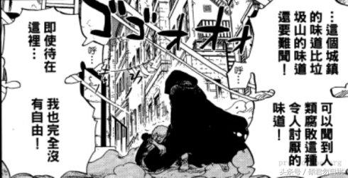 贝加偏旁组词，鸟加偏旁组词（海贼王简要分析10大神秘传说）