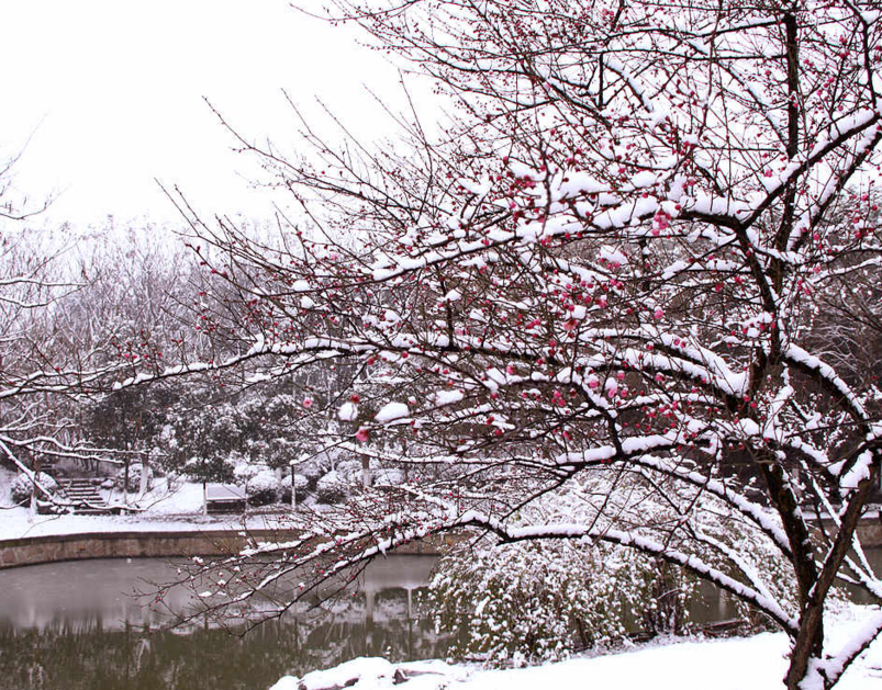 梦见下大雪是什么预兆，梦见下大雨是什么预兆（解梦：梦见下厚雪）