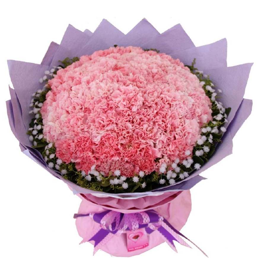 不同颜色康乃馨花语，康乃馨的花的寓意是什么（数量有不同的含义-值得收藏）