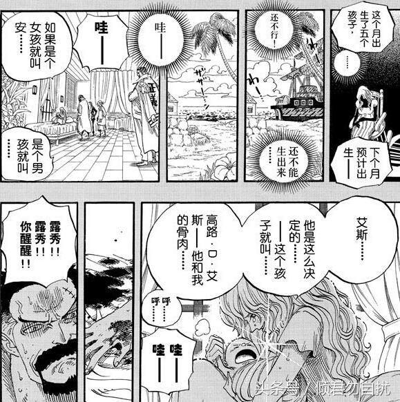 贝加偏旁组词，鸟加偏旁组词（海贼王简要分析10大神秘传说）