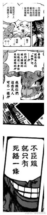 贝加偏旁组词，鸟加偏旁组词（海贼王简要分析10大神秘传说）