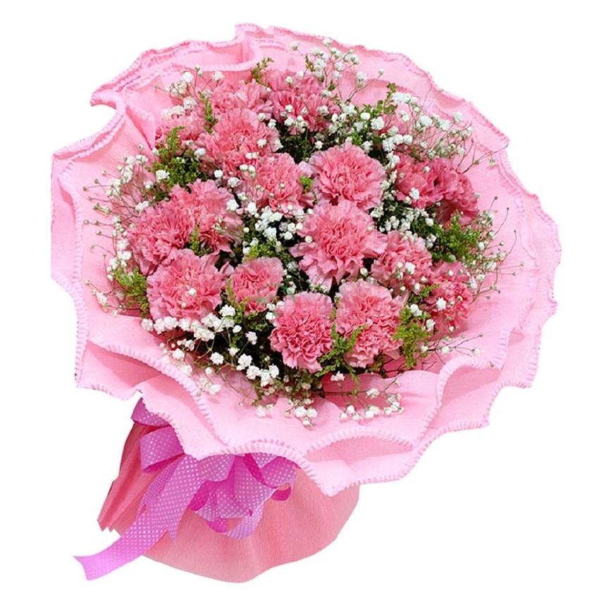 不同颜色康乃馨花语，康乃馨的花的寓意是什么（数量有不同的含义-值得收藏）