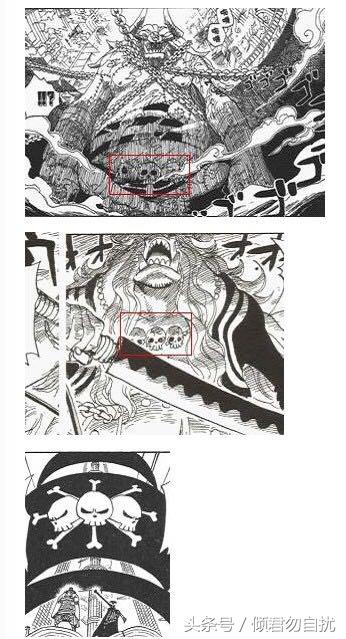 贝加偏旁组词，鸟加偏旁组词（海贼王简要分析10大神秘传说）