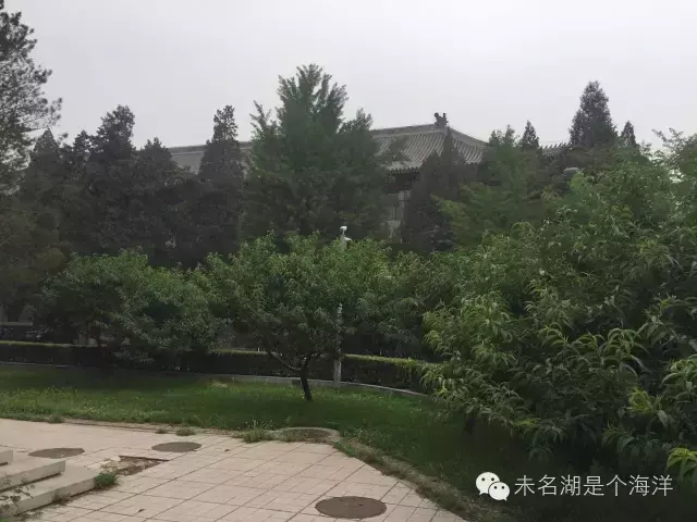 莫比乌斯戒指的寓意，莫比乌斯环戒指的寓意是什么（铁血指环——爱的莫比乌斯环）