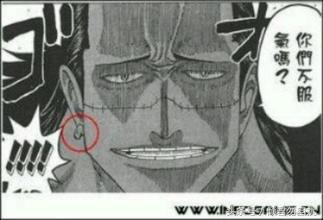 贝加偏旁组词，鸟加偏旁组词（海贼王简要分析10大神秘传说）