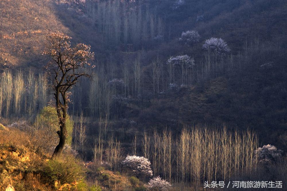 郑州名胜古迹旅游景点，郑州周边名胜古迹游玩推荐景点（郑州周边最值得推荐的5个自驾游旅游地）