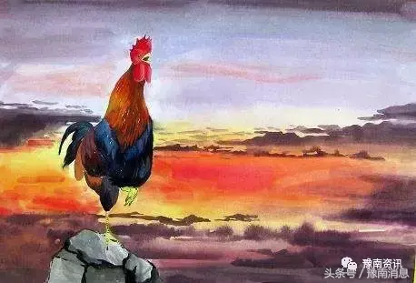 家禽有几个生肖，十二生肖有哪些是家禽的动物（12生肖中的鸡又代表着什么）