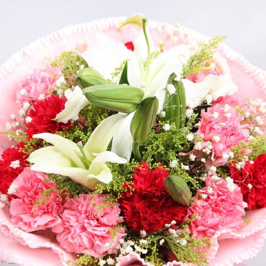 不同颜色康乃馨花语，康乃馨的花的寓意是什么（数量有不同的含义-值得收藏）