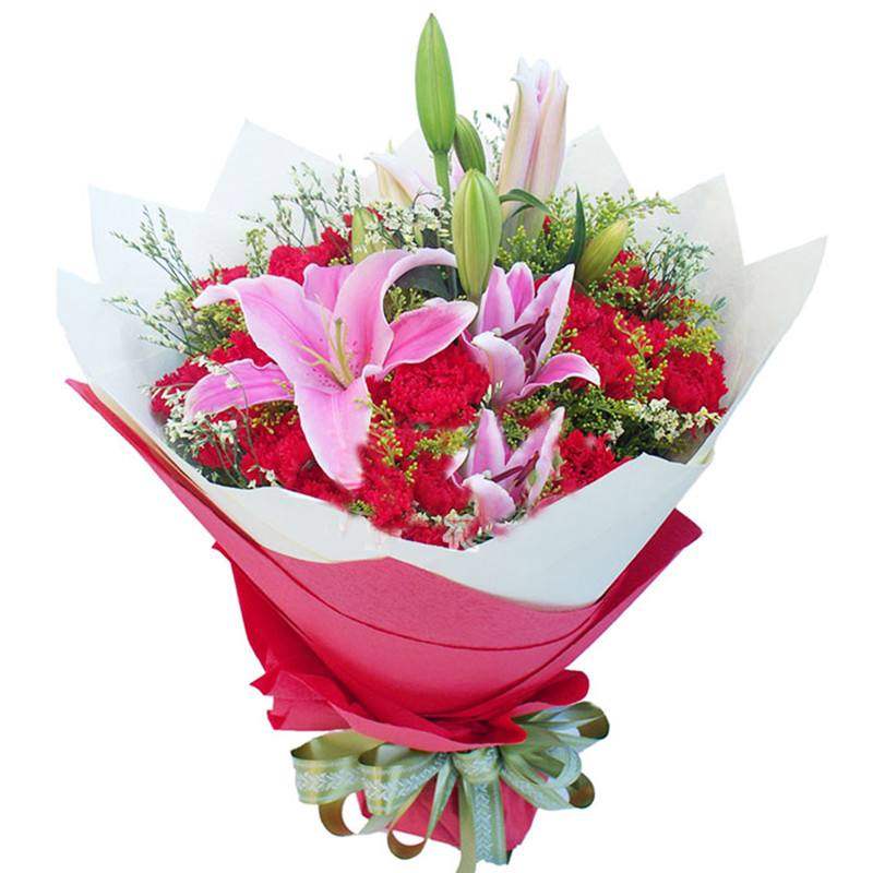 不同颜色康乃馨花语，康乃馨的花的寓意是什么（数量有不同的含义-值得收藏）