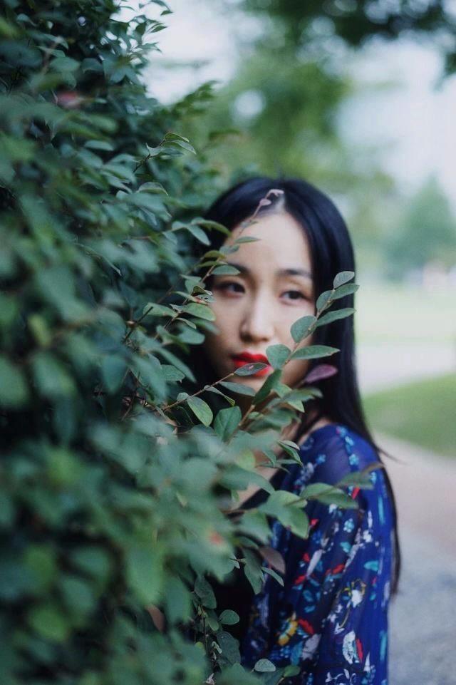 彼岸花的诅咒，彼岸花的由来，和有什么寓意（《本草》植物志之彼岸花）