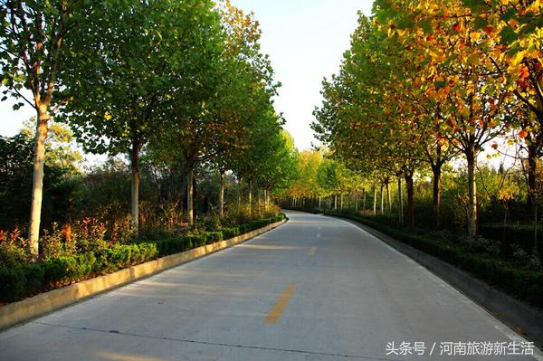 郑州名胜古迹旅游景点，郑州周边名胜古迹游玩推荐景点（郑州周边最值得推荐的5个自驾游旅游地）