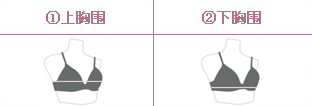 80e内衣是什么罩杯，80e内衣尺寸是什么罩杯（女士内衣尺码究竟如何定义）