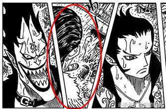 贝加偏旁组词，鸟加偏旁组词（海贼王简要分析10大神秘传说）