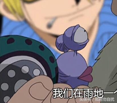 贝加偏旁组词，鸟加偏旁组词（海贼王简要分析10大神秘传说）