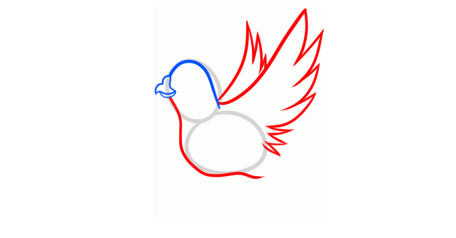 鸽子怎么画简笔画图片,简笔画鸽子是怎么画的(画吉祥的鸽子简笔画步骤
