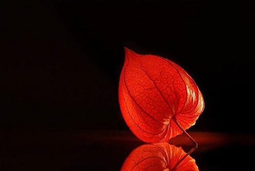 路旁土命是什么意思，剑锋金命是什么意思（30岁前难以结婚的生肖）