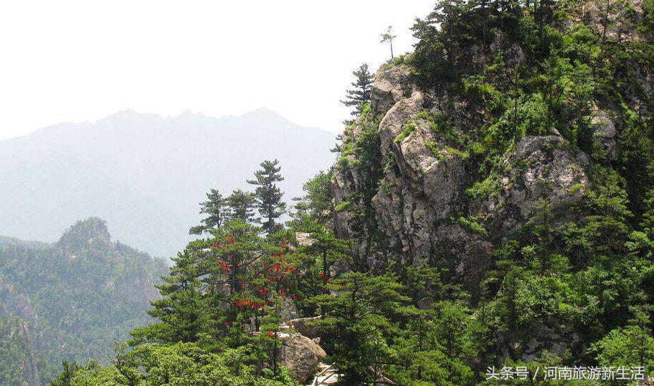 东岳是什么山，我国的东岳是什么山（河南10座最高山峰）