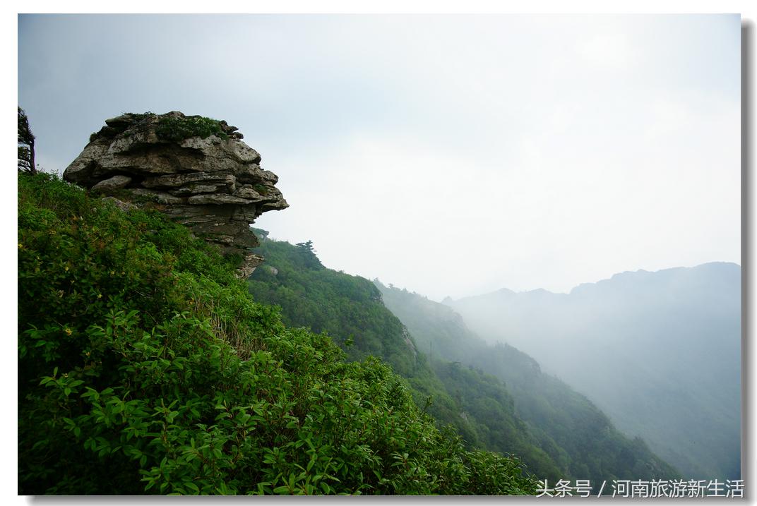 东岳是什么山，我国的东岳是什么山（河南10座最高山峰）