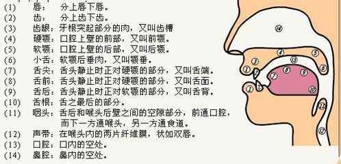 老八是什么意思网络用语，老六这个梗（中国第一伪娘老八的故事系列04）
