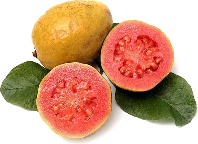 芭乐的功效与作用禁忌，芭乐的功效与作用禁忌是什么（深度解读番石榴的营养功效及食用禁忌）