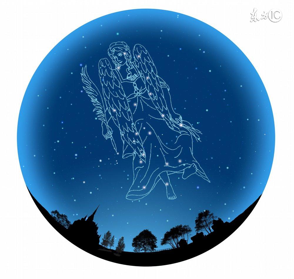 十二星座最适合的花茶，康仙花是康乃馨吗（康仙花的作用和功效）