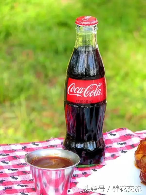 可乐能浇哪几种花，可乐能浇花吗（从没想过可乐用来养花有这么多好处）