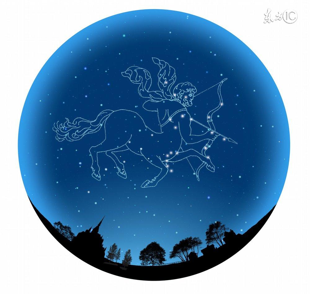 十二星座最适合的花茶，康仙花是康乃馨吗（康仙花的作用和功效）