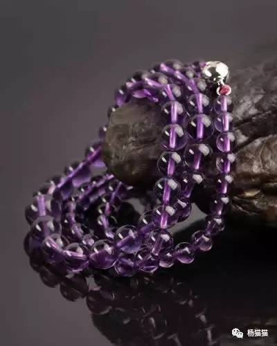 番红花花语，番红花花语和象征意义（2月21日生日花语）