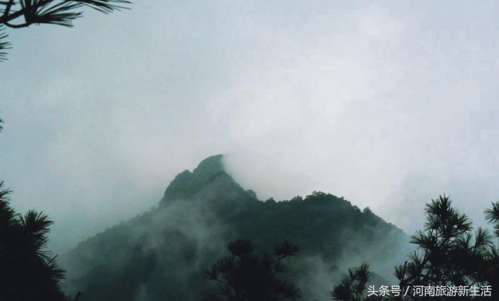 东岳是什么山，我国的东岳是什么山（河南10座最高山峰）