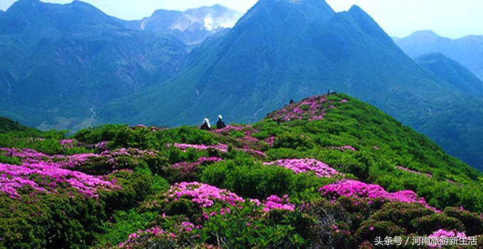 东岳是什么山，我国的东岳是什么山（河南10座最高山峰）