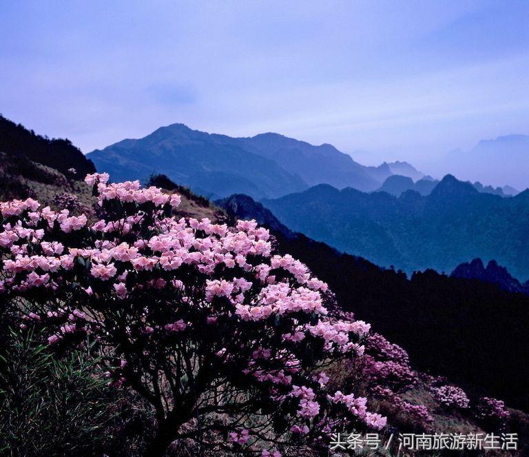 东岳是什么山，我国的东岳是什么山（河南10座最高山峰）
