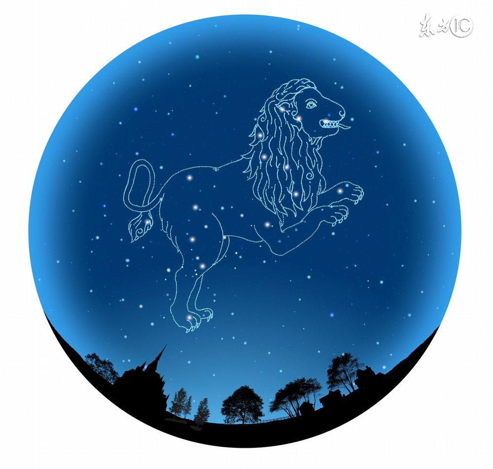 十二星座最适合的花茶，康仙花是康乃馨吗（康仙花的作用和功效）