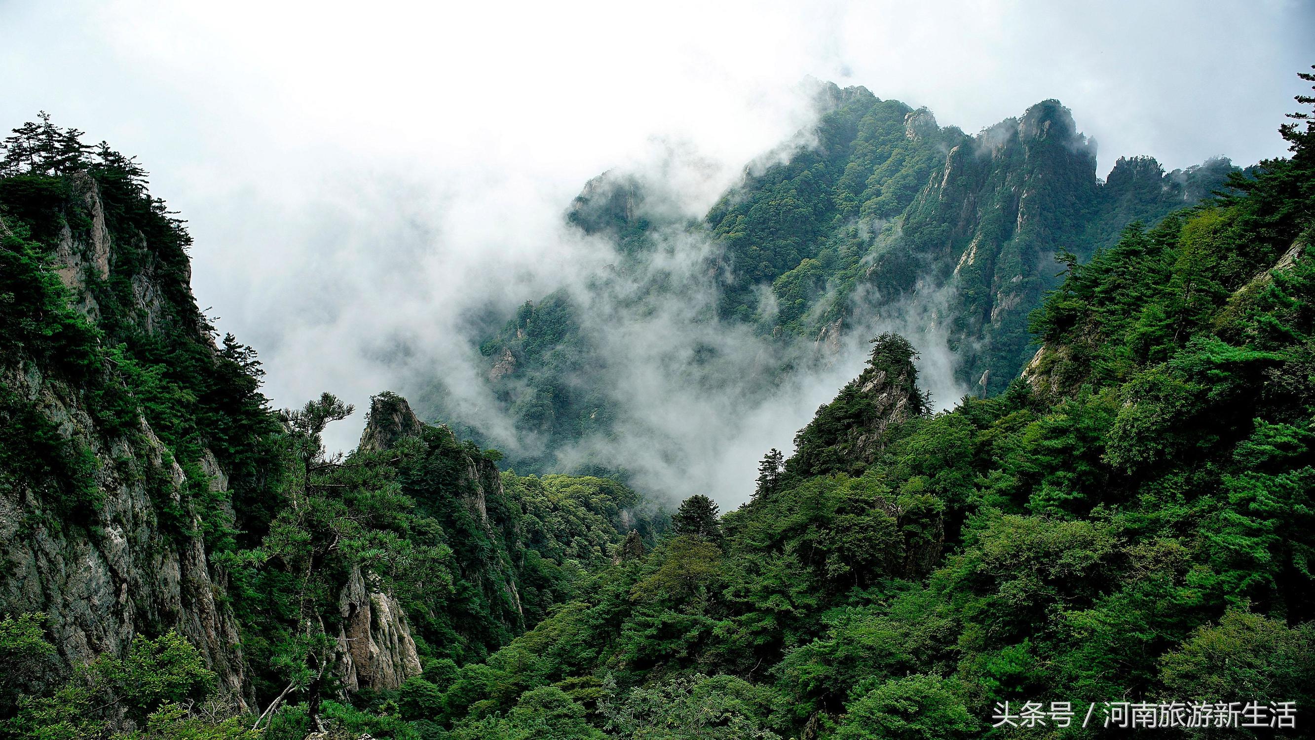 东岳是什么山，我国的东岳是什么山（河南10座最高山峰）