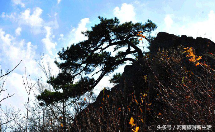 东岳是什么山，我国的东岳是什么山（河南10座最高山峰）