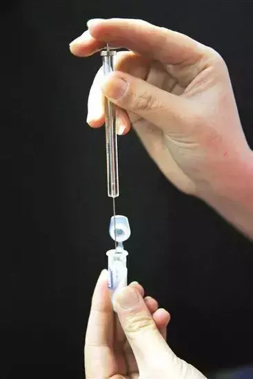 山埃（山埃毒是什么，都说谋杀喜用毒药（山埃是什么东西）