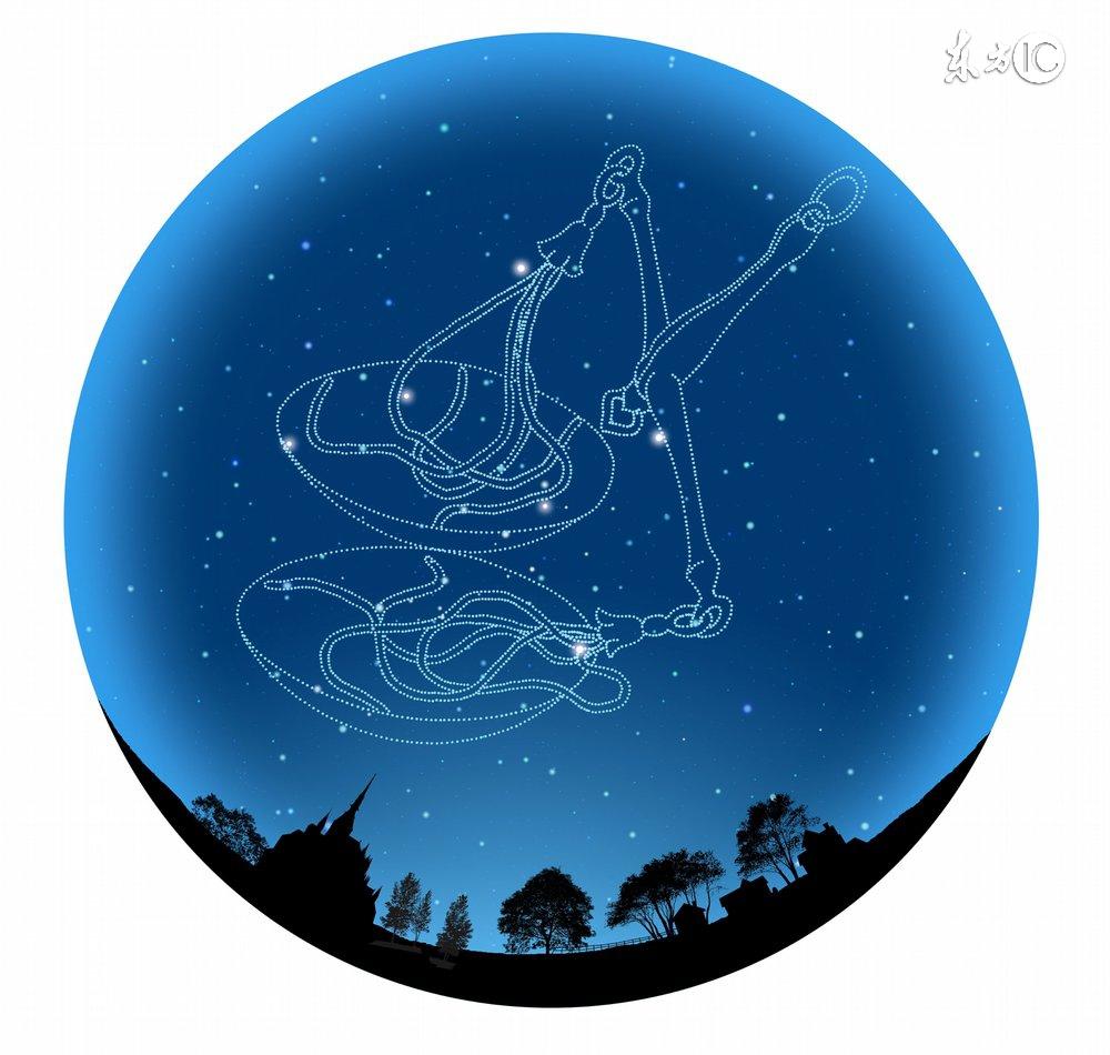 十二星座最适合的花茶，康仙花是康乃馨吗（康仙花的作用和功效）