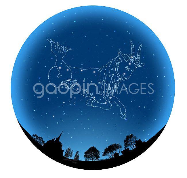 十二星座最适合的花茶，康仙花是康乃馨吗（康仙花的作用和功效）