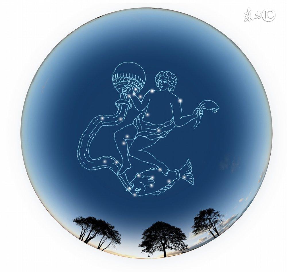 十二星座最适合的花茶，康仙花是康乃馨吗（康仙花的作用和功效）