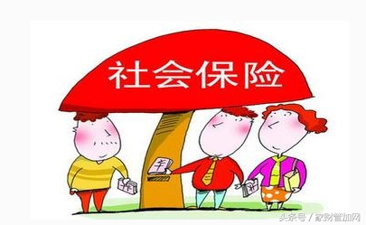 社保贷款怎样贷，社保贷我们应该如何办理（社保贷款申请指南）