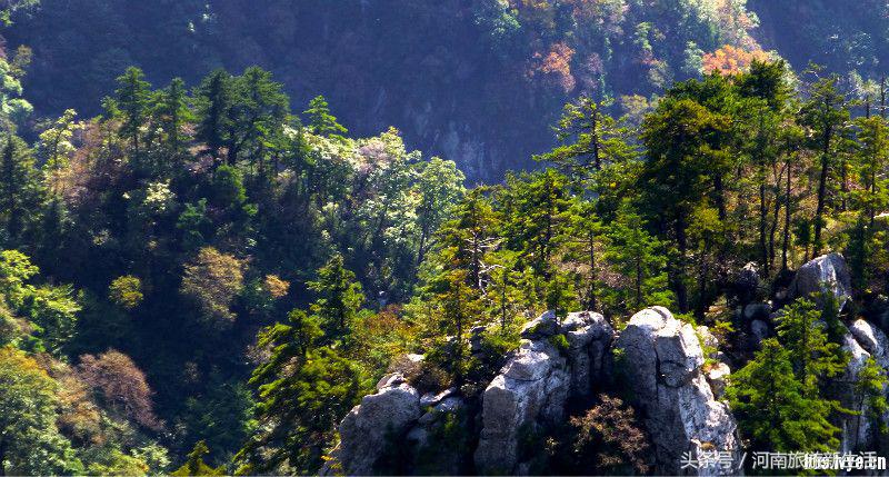 东岳是什么山，我国的东岳是什么山（河南10座最高山峰）