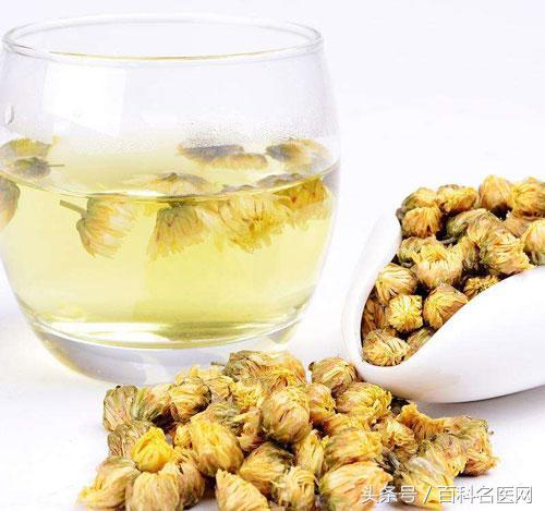 菊花泡水喝的9大禁忌，菊花泡水喝的9大禁忌有哪些（注意这些人不宜喝菊花茶）