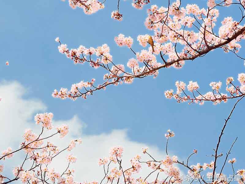 梦见井水满满的是什么兆头，梦见井水满了是什么预示（梦里出现这四种梦境的人）