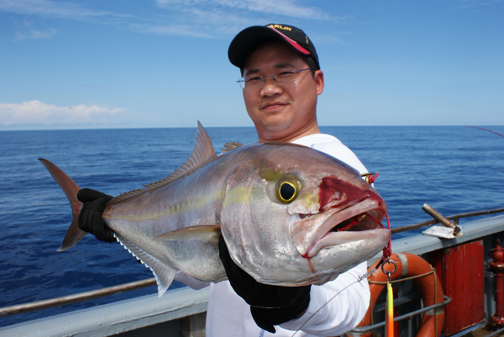 海里的魚有:黃花魚,帶魚,鮁魚,魷魚,墨魚,偏口魚,,鱈魚,鯧魚,鱸魚